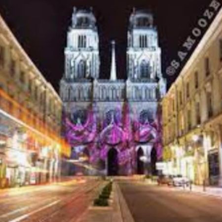 Chaleureux Appart, Proche De La Loire Avec Parking オルレアン エクステリア 写真