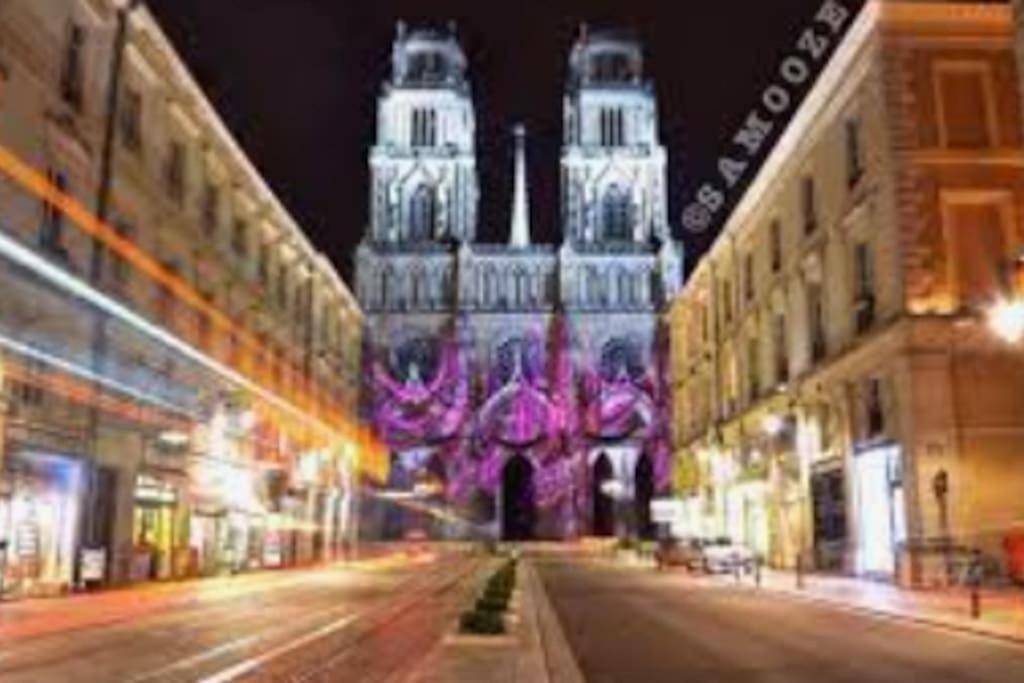 Chaleureux Appart, Proche De La Loire Avec Parking オルレアン エクステリア 写真